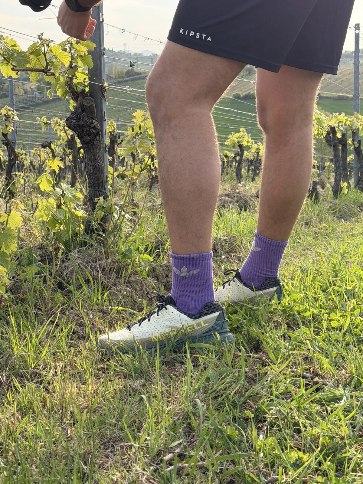 Scarpe da trail durante un sopralluogo nei vigneti